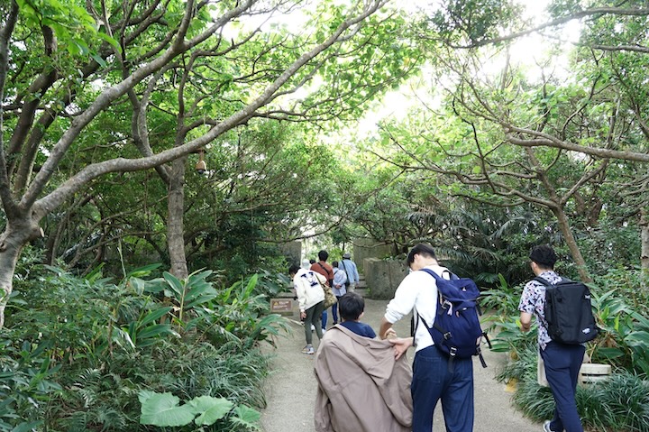 森全体が聖域とされる「京の内」