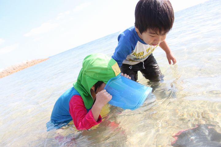 2歳から親子で参加できる  川遊びや海遊び