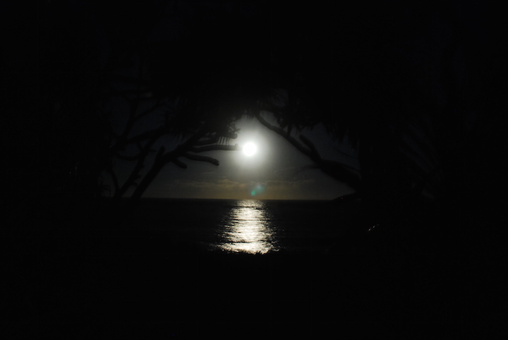 東の海からはお月さまが現れ、光の道をつくります