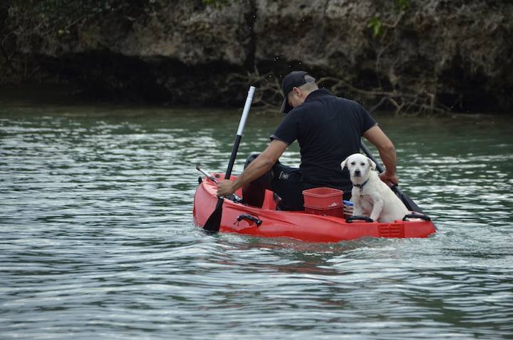 愛犬のターボーを連れて、いそいそと入江の奥へカヌーに乗って出かけて行った