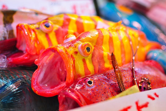 那覇市にある牧志公設市場で出会える沖縄の色鮮やかな魚たち