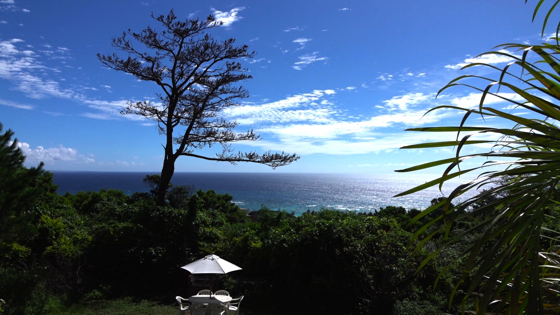 【沖縄CLIPムービー】PANORAMA Ocean View Cottage