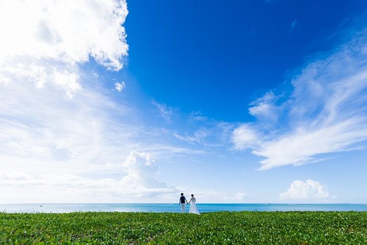 青い海だけの写真では物足りない。ハマヒルガオの緑が爽やかに演出してくれる「冨着ビーチ」