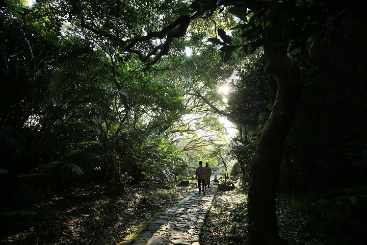 琉球国最高の聖地「斎場御嶽」の今昔を想い歩く