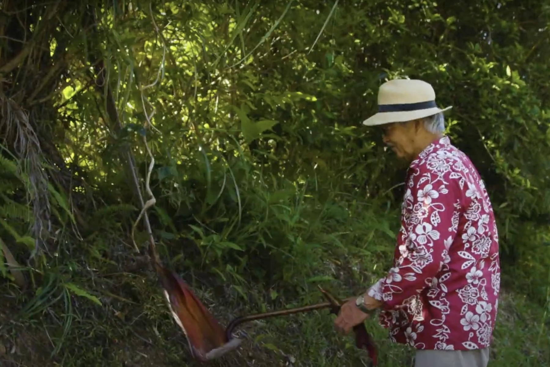 色で描く、亜熱帯の漆《漆芸家 原田城二》 | よみもの | 沖縄CLIP｜あなたの沖縄旅を豊かにする体験予約サイト・観光情報メディア