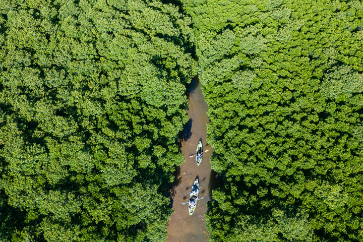 やんばるの大自然の魅力を伝え、未来へつなぐエコツアーガイド