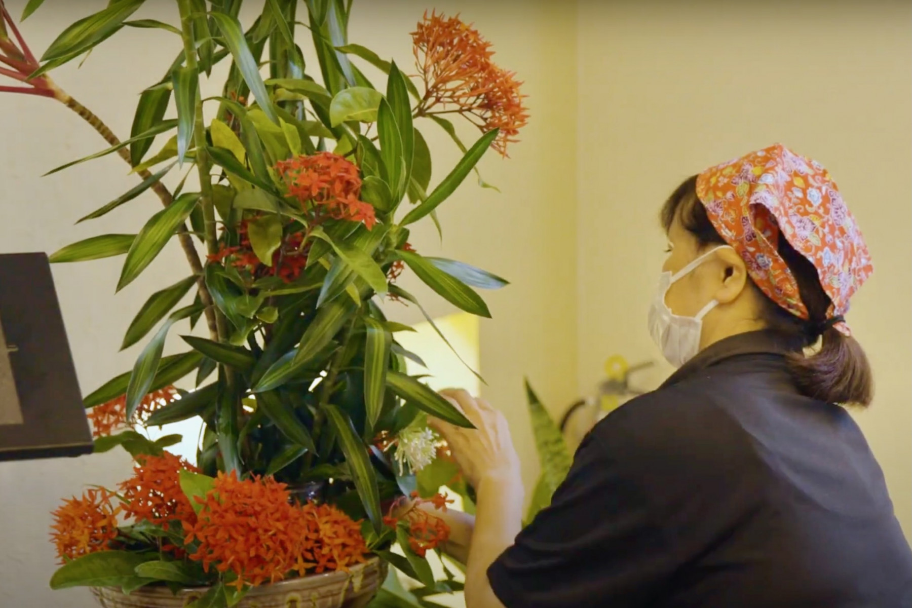 沖縄らしさを感じる季節の花々を、スタッフがロビーやお部屋に生けています