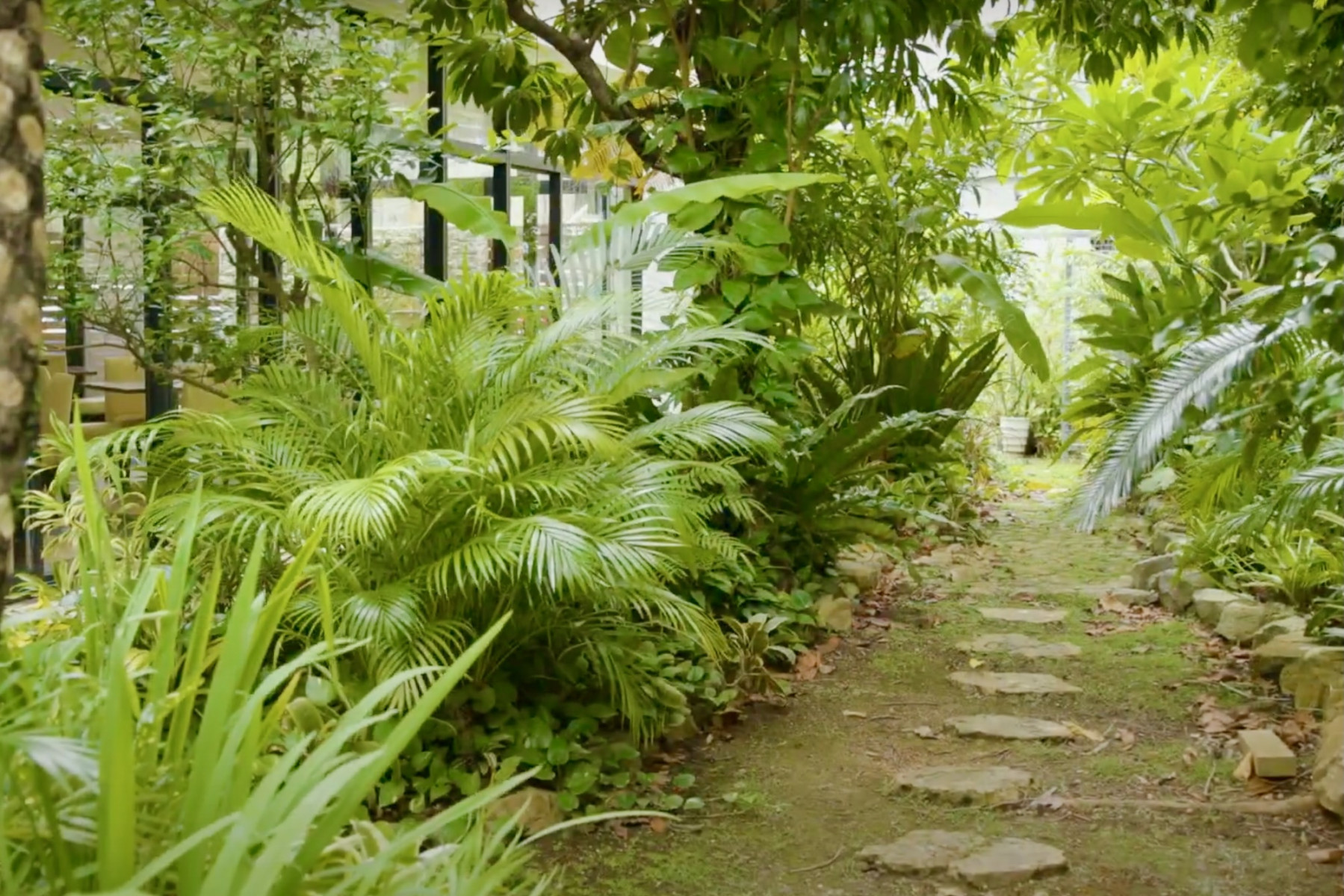 レストランから見える小さな庭園