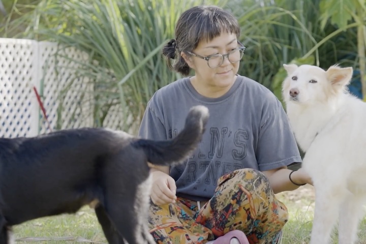 犬を信じる《NPO法人ワンズパートナーの会》