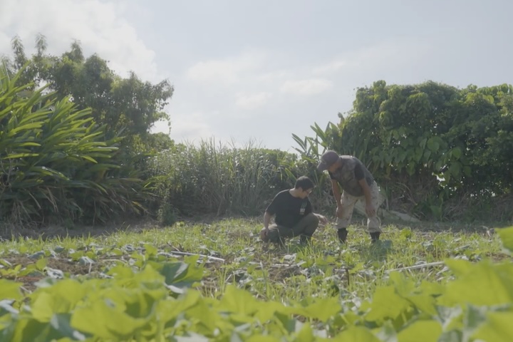 畑で作業する人々