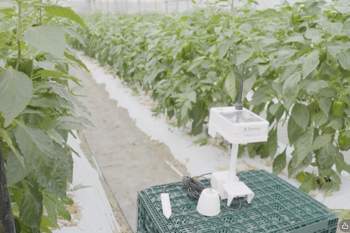 写真の白い機械がファーモ。栽培を管理しています