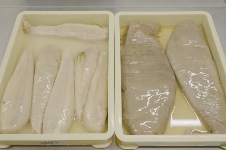 本マグロ(右側)以外に、他の種類のマグロ(左側はメバチ)の卵巣でもボッタルガを作っています