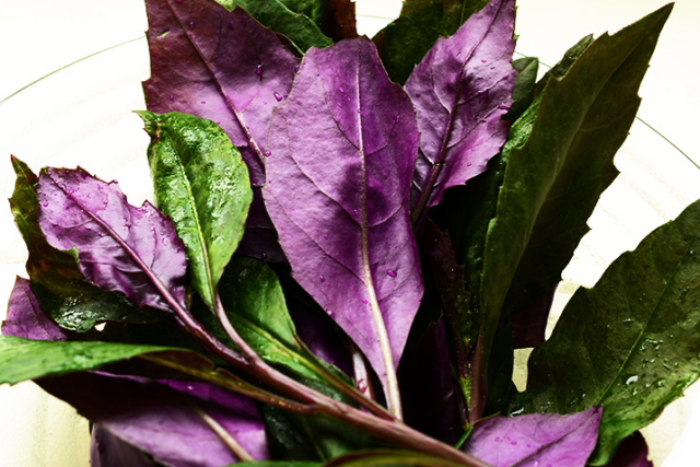 島の恵み、島の味　その24　紫色の不思議な野菜、ハンダマ